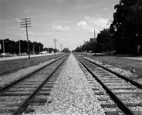 View of railroad track - Bushnell, Florida