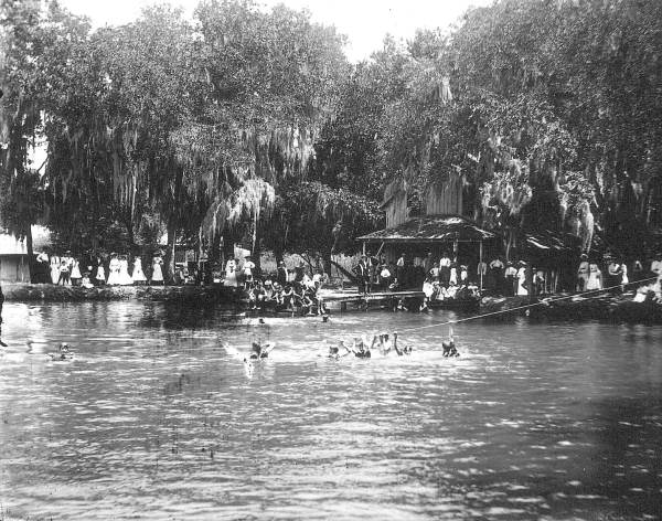Swimming at De Leon Springs?