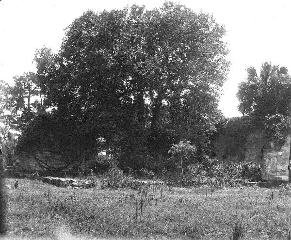 Ruins of the New Smyrna Sugar Mill - New Smyrna Beach, Florida