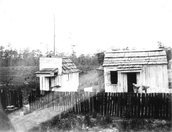 Small house and privy