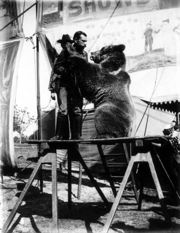 Circus trainer and his bear