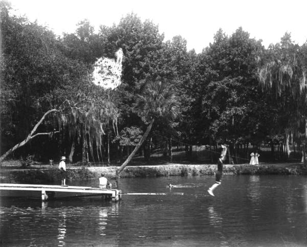 Diving at De Leon Springs