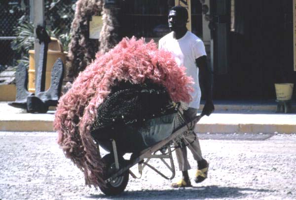 Shrimper transporting nets in wheelbarrow - Key West, Florida.