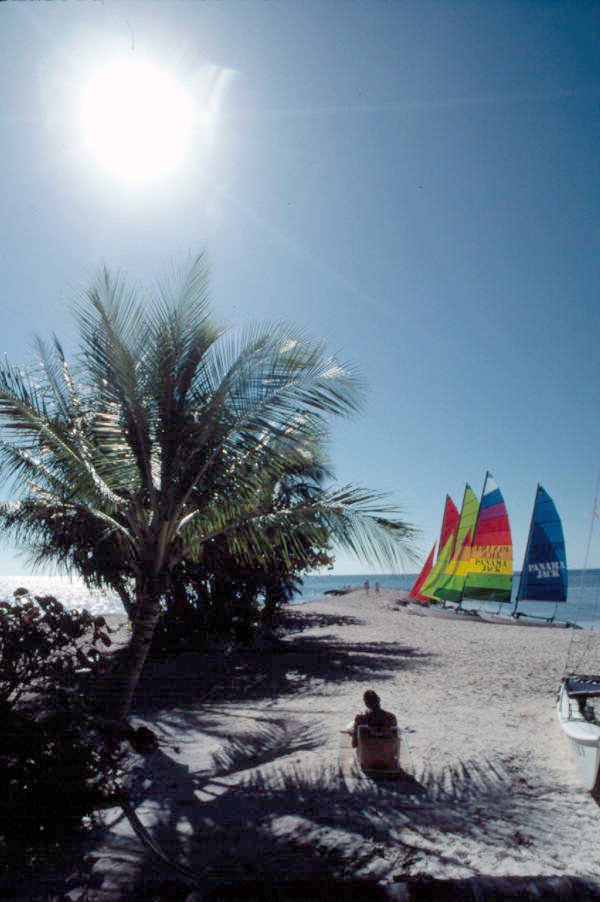Smathers Beach showing Hobie Cat sailboats - Key West, Florida