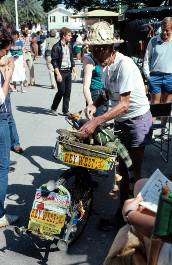"Iguana Man" John W. Meek with his pets at the Key West art show celebration festivities.