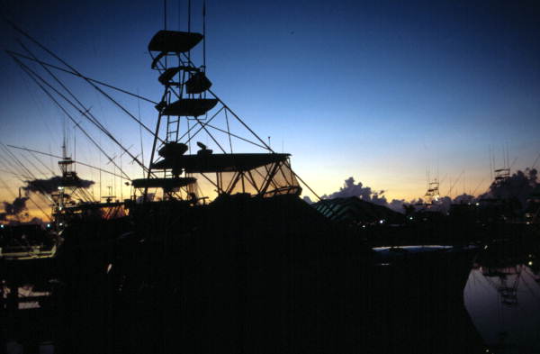 Charter boat silhouettes at Oceanside marina - Key West, Florida