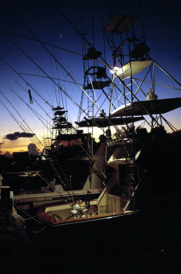 Charter boat silhouettes at Oceanside marina - Key West, Florida.