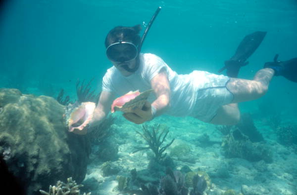 Snorkeling for conchs on Eastern Dry Rocks reef - Key West, Florida..