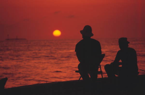 Fishing buddies - Key West, Florida..