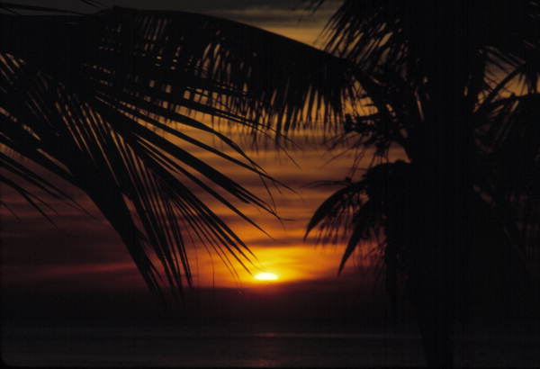 Morning Dawns - Key West, Florida..