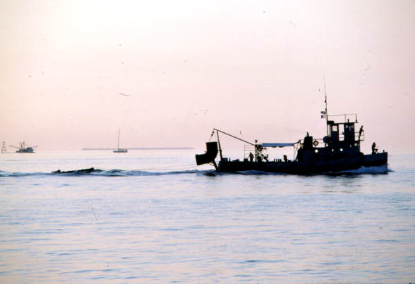M/V Dauntless returning from Atocha wreck site - Key West, Florida.