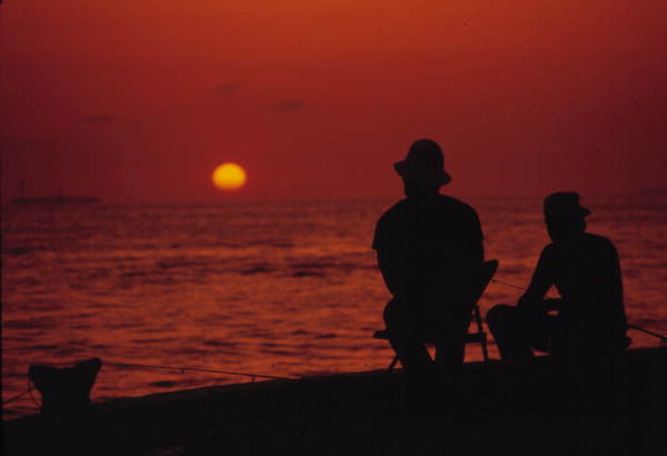 Fishing buddies - Key West, Florida..