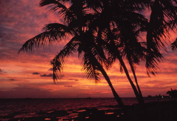 Flaming sky - Key West, Florida.