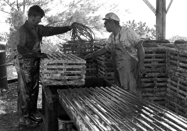 Clyde Carey and Guido "Eagle" Roche preparing to dip a lobster trap in creosote in preparation for the opening of Florida lobster season.
