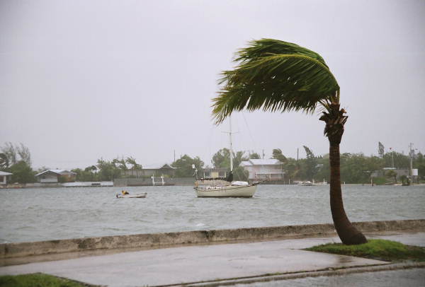 View of sailboat by Garrison Bight Marina during hurricane Rita - Key West, Florida.