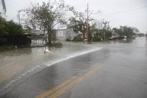 Storm surge flowing across Flagler Ave. at Ashby St..