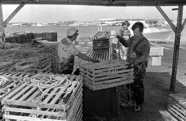 Captain Roche and mate Clyde Carey preparing lobster traps - Stock Island, Florida