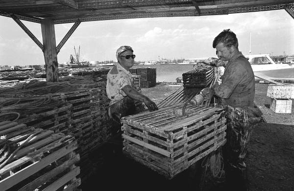Captain Roche and mate Clyde Carey preparing lobster traps - Stock Island, Florida