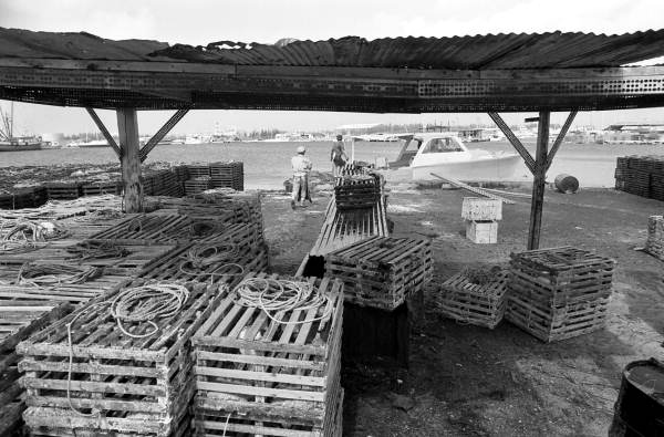 Lobster traps being loaded onto boat after being prepared with a creosote bath at the Peninsular Marine boatyard - Stock Island, Florida.