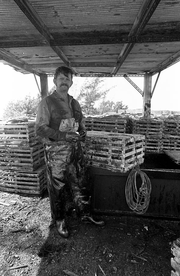 Clyde Jackson "CJ" Carey preparing to "Treat" lobster trap in creosote.