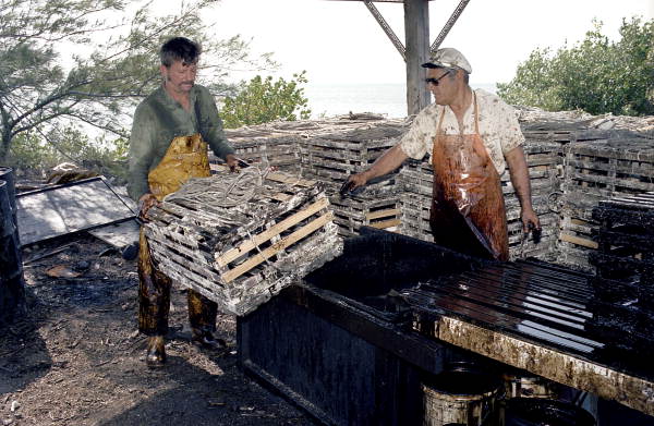 Captain Roche and mate Clyde Carey preparing to dip a lobster trap in creosote - Stock Island, Florida
