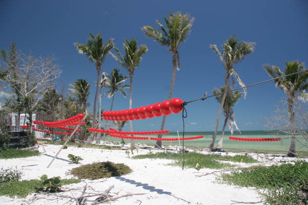 Lobster buoys, 2006