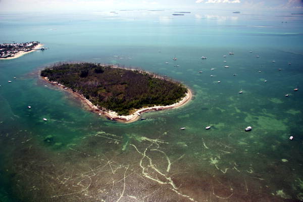 Florida Memory  Aerial view of Wisteria Island.