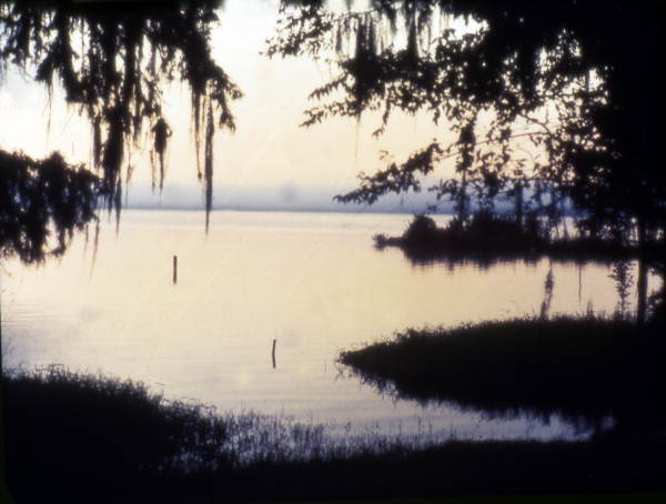 Lake scene