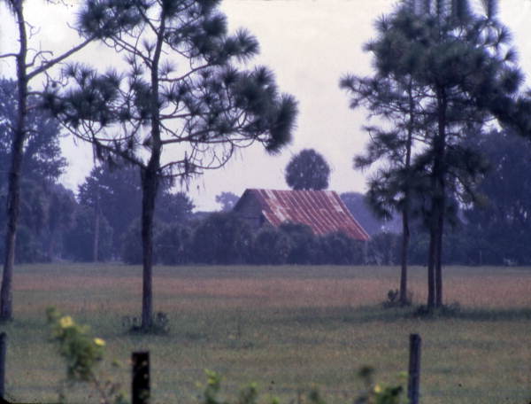 Building with a rusting roof
