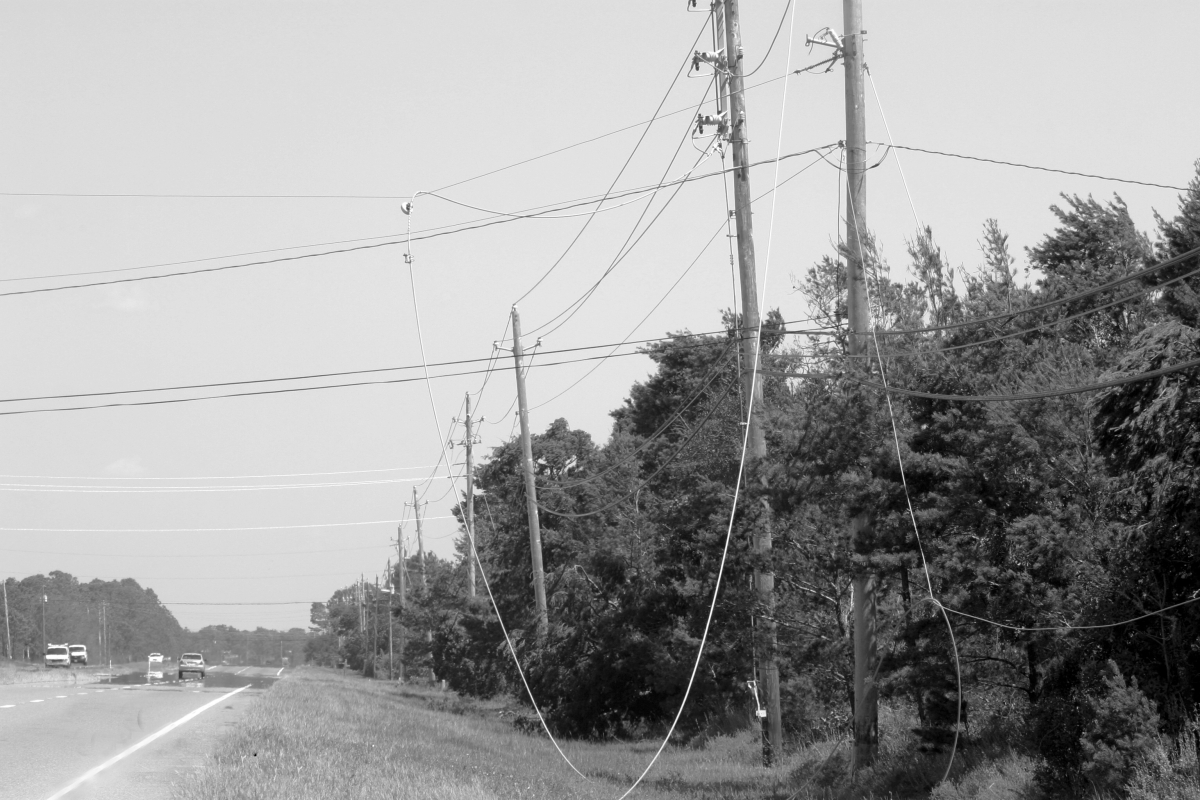 Power lines downed by Hurricane Ivan - Navarre, Florida.