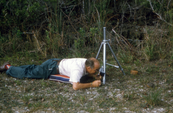 Photographer's husband Don taking a picture of a Box turtle in the Everglades.