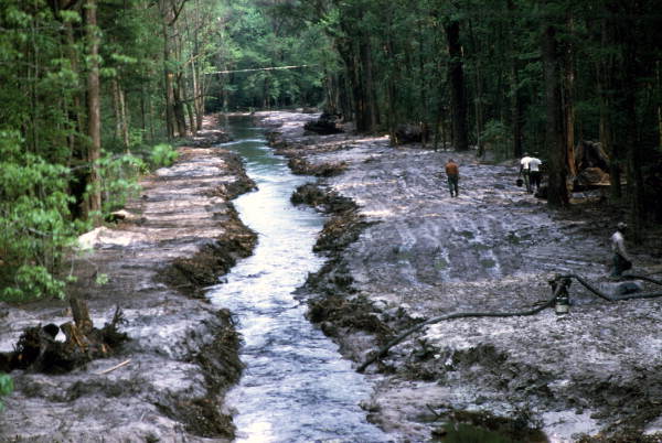 Drainage of runoff - Alachua County, Florida.