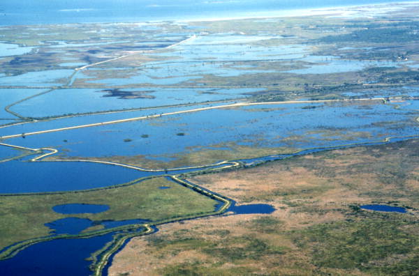 Aerial view of a section of New Smyrna Beach showing dredged canals - Volusia County, Florida