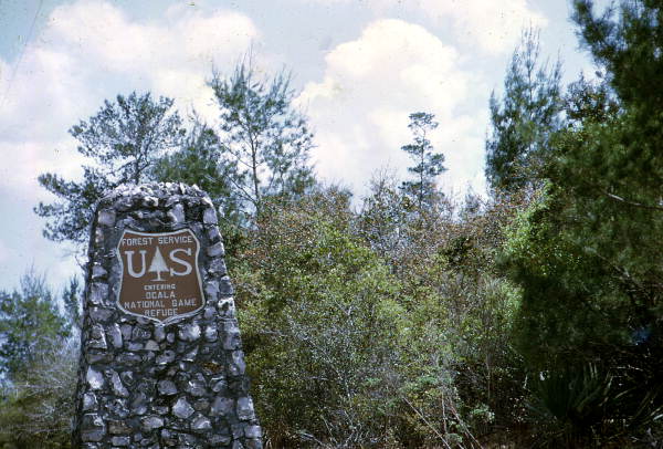 Entrance to the Ocala National Game Refuge at the Ocala National Forest - Marion County, Florida.