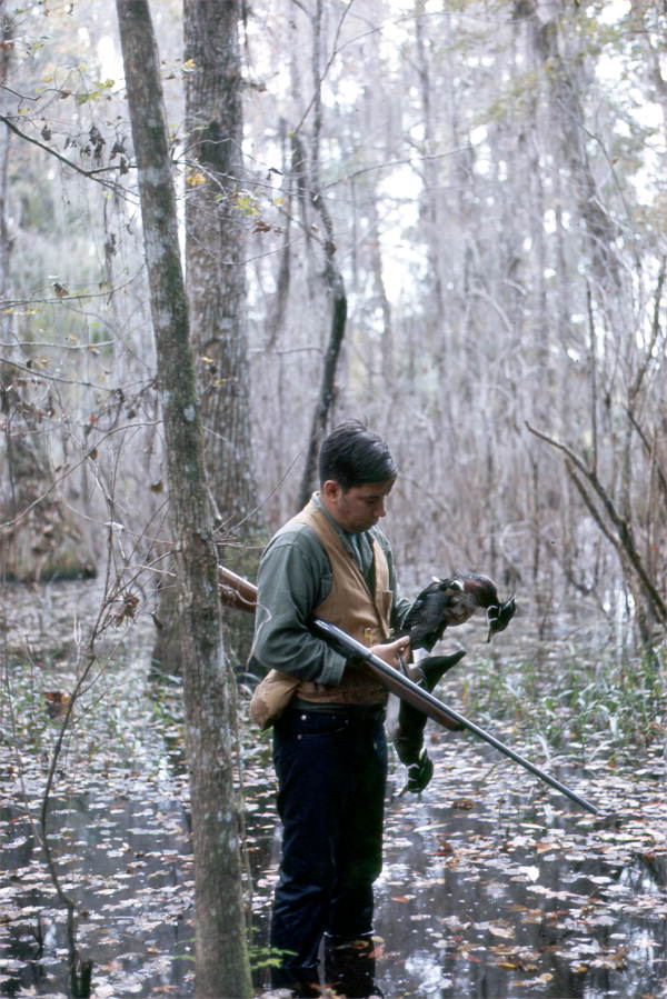 Photographer David LaHart hunting wood ducks