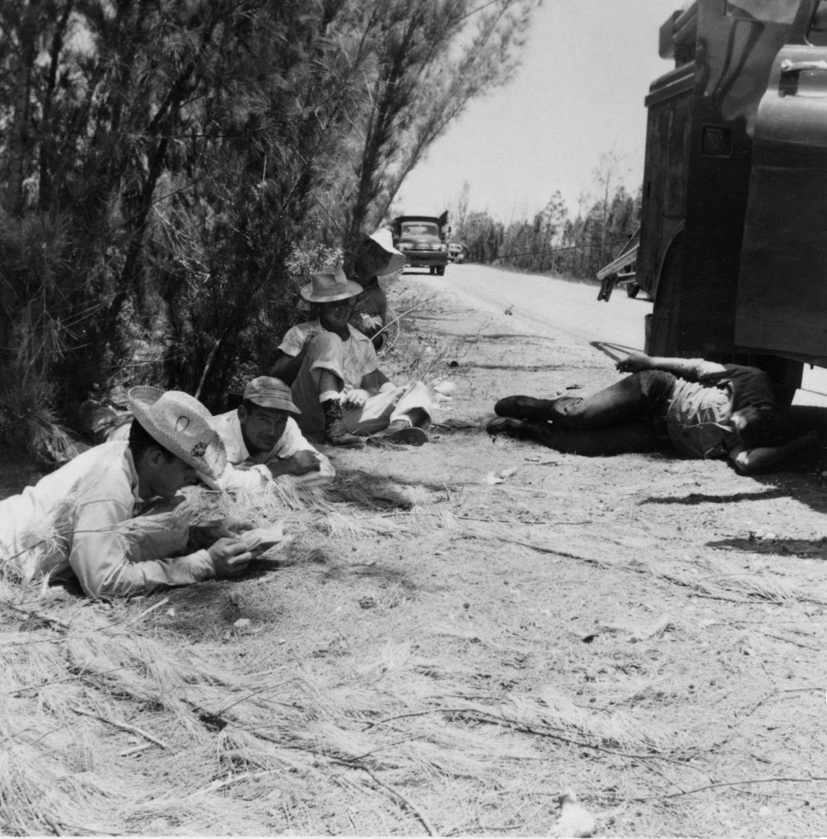 Southern Bell Telephone & Telegraph Company employees taking a break from work in the Florida Keys.