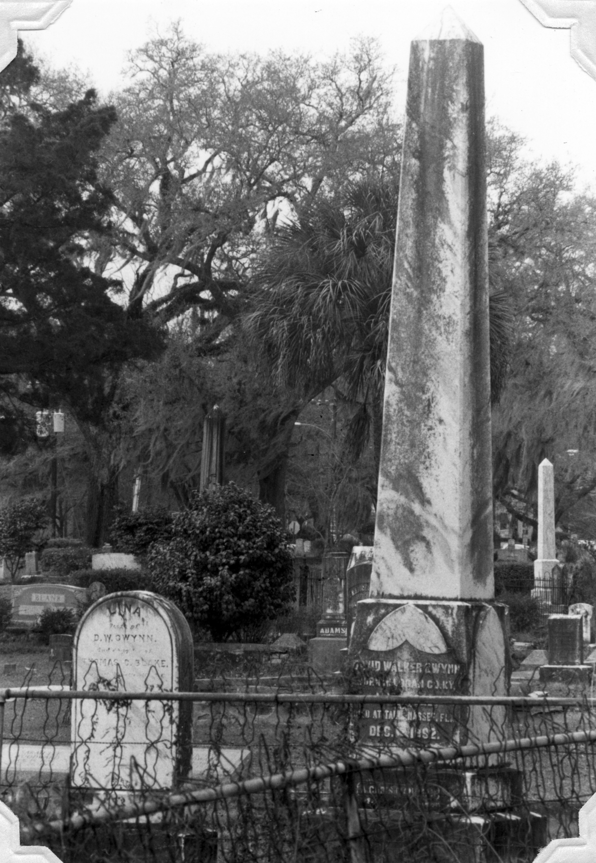 Grave monuments for Gwynn family members at the Old City Cemetery in Tallahassee, Florida.