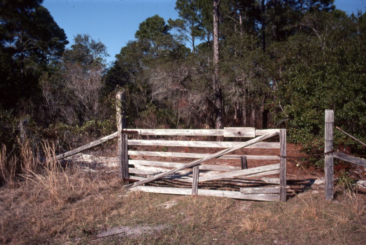 Wooden gate