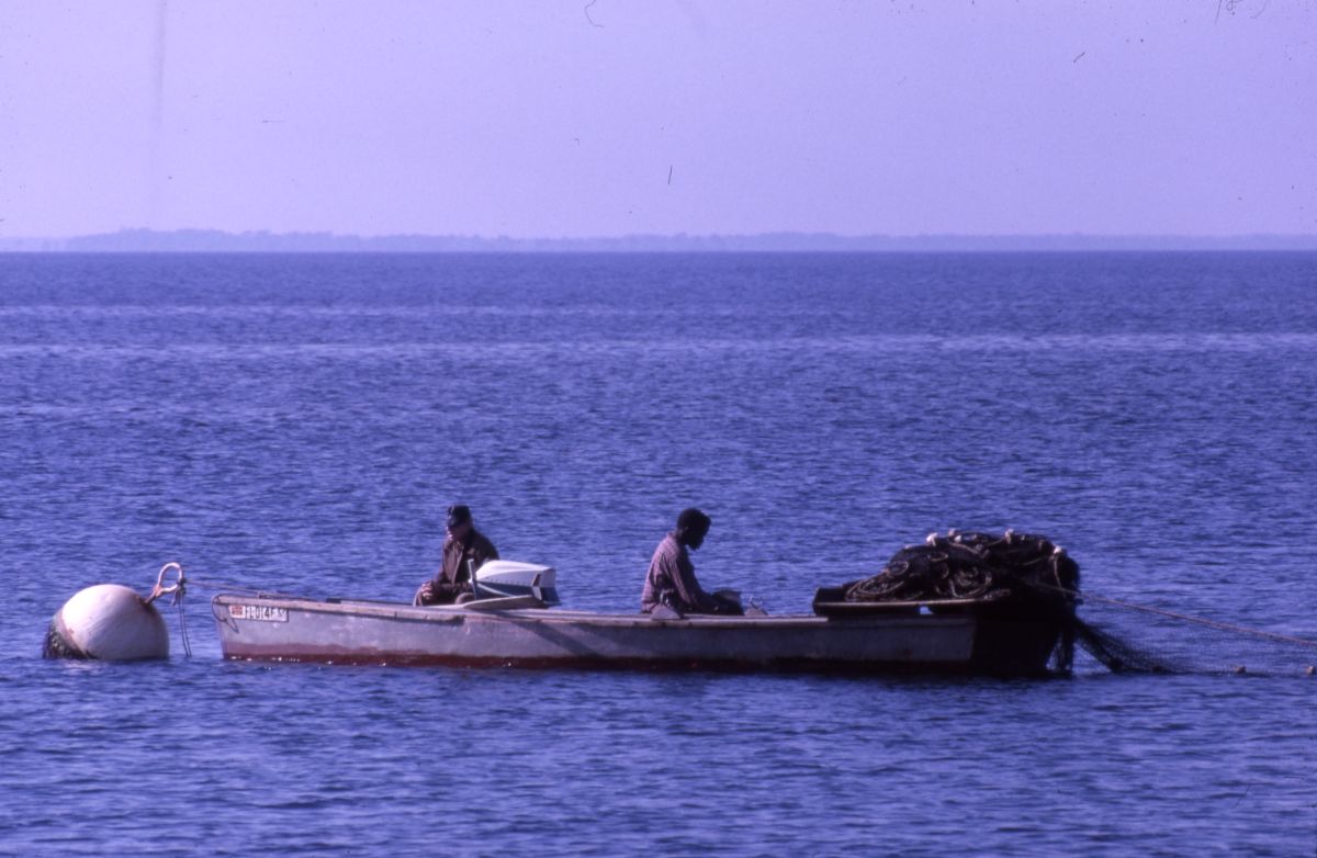 Fishing for mullet - Shell Point, Florida