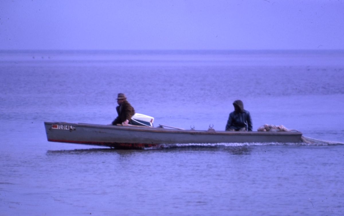 Fishing for mullet - Shell Point, Florida