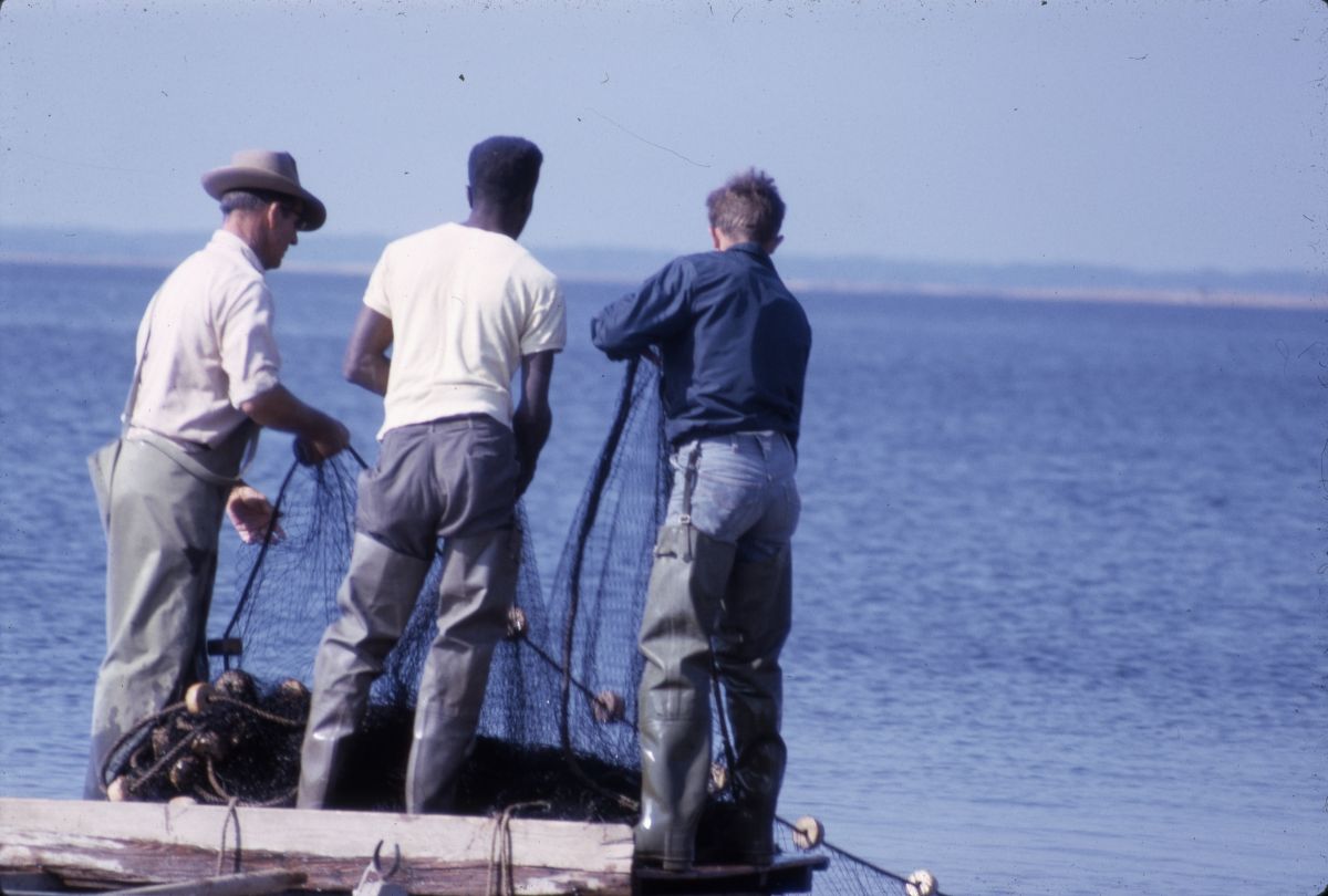 Fishing for mullet - Shell Point, Florida