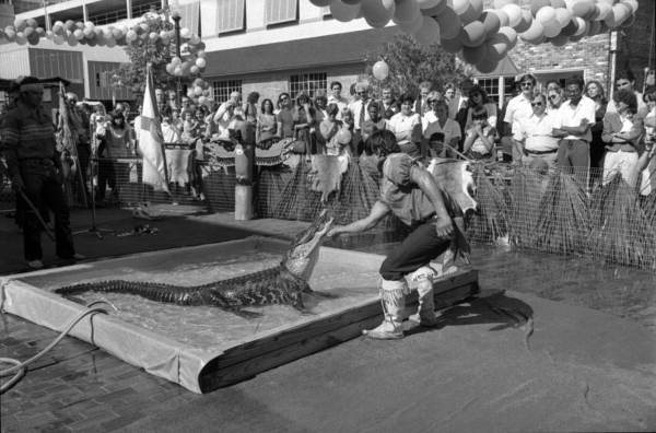 Florida Memory • Seminole Indian Demonstrates Alligator Wrestling 