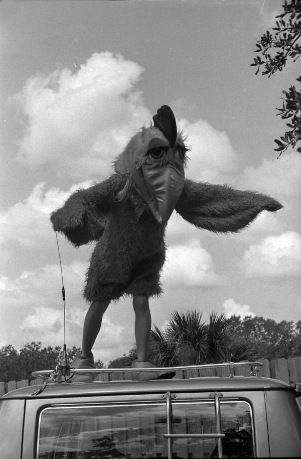 G-104 chicken on top of a van - Tallahassee, Florida.
