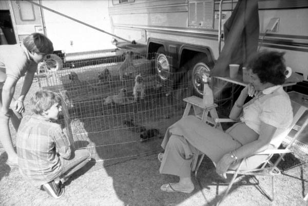 Children looking at puppies - Tallahassee, Florida.