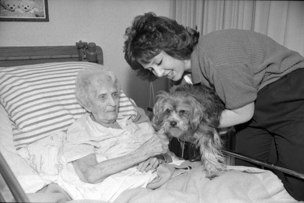 Lisa D'Assaro and Muffin carry out dog therapy with an elderly patient - Tallahassee, Florida.