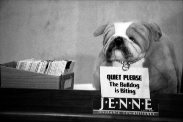 Bulldog symbol used by the Jenne's campaign - Tallahassee, Florida.