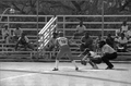 Lady Seminoles softball game - Tallahassee, Florida.