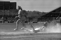 Lady Seminoles softball game - Tallahassee, Florida.