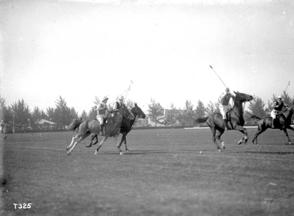 The Flamingo Hotel's polo grounds - Miami Beach, Florida