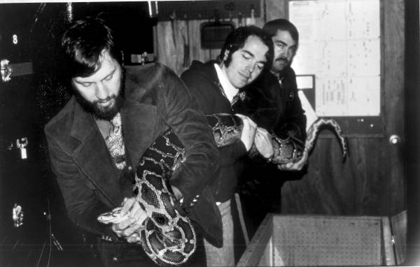 Men hold python captured in Gainesville - Tallahassee, Florida